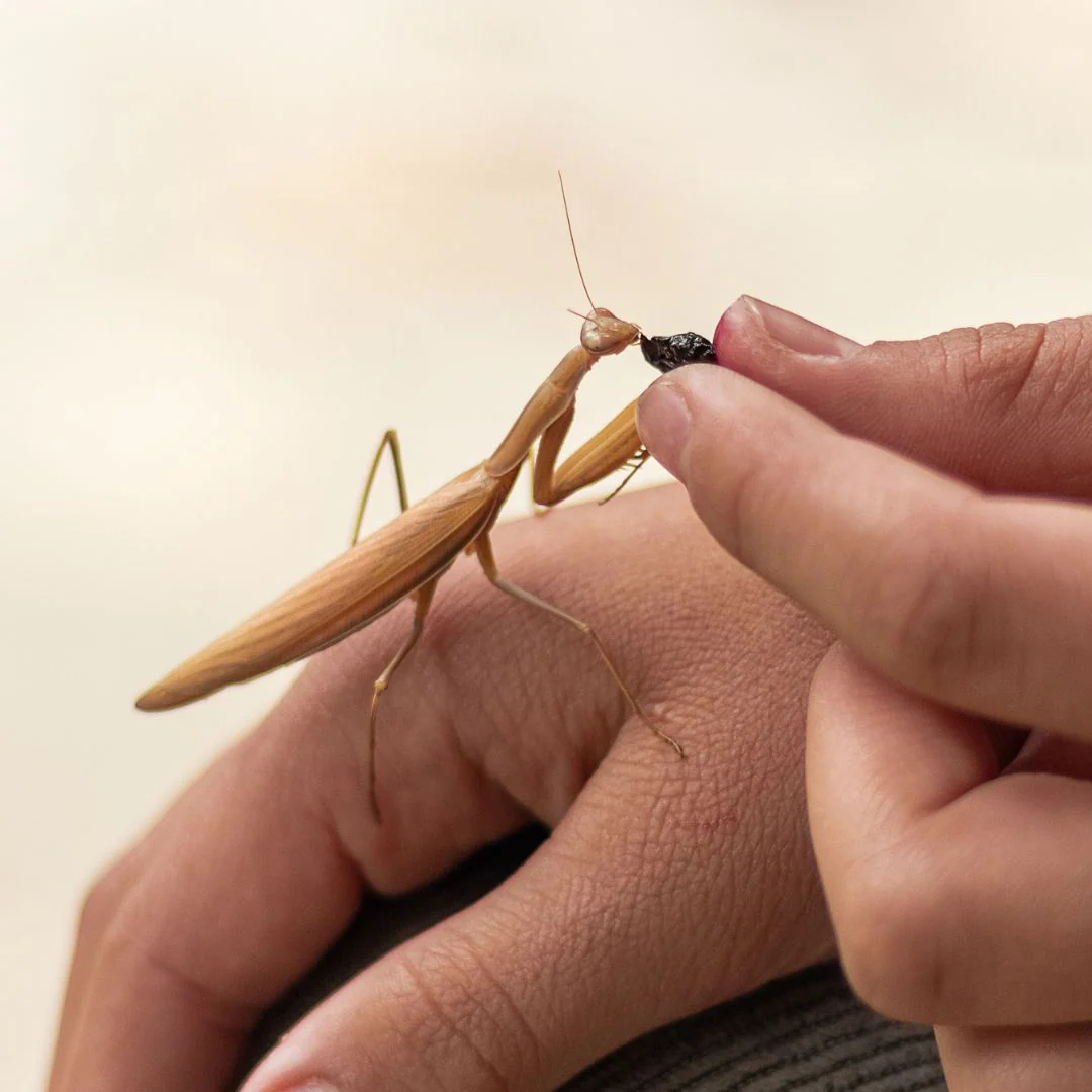 Ateliers Pédagogique